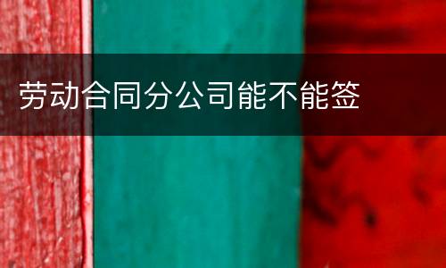 劳动合同分公司能不能签