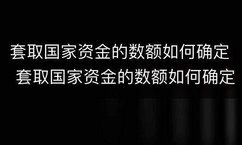 套取国家资金的数额如何确定 套取国家资金的数额如何确定