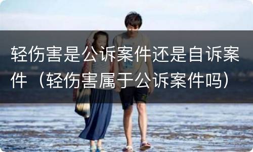 轻伤害是公诉案件还是自诉案件（轻伤害属于公诉案件吗）
