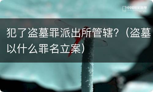 犯了盗墓罪派出所管辖?（盗墓以什么罪名立案）