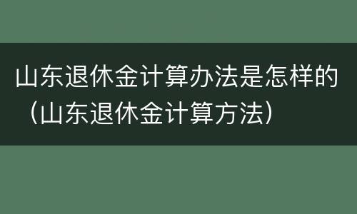 山东退休金计算办法是怎样的（山东退休金计算方法）
