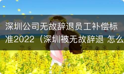 深圳公司无故辞退员工补偿标准2022（深圳被无故辞退 怎么办）
