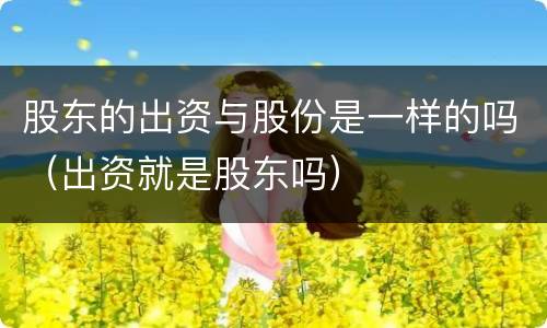 股东的出资与股份是一样的吗（出资就是股东吗）