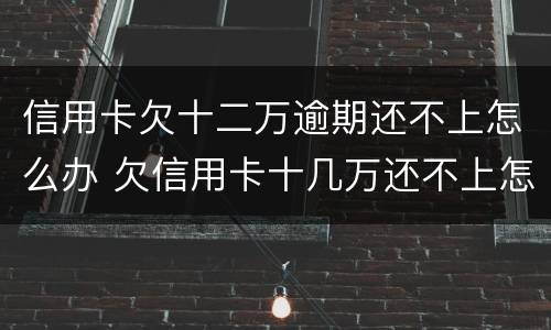 信用卡欠十二万逾期还不上怎么办 欠信用卡十几万还不上怎么办