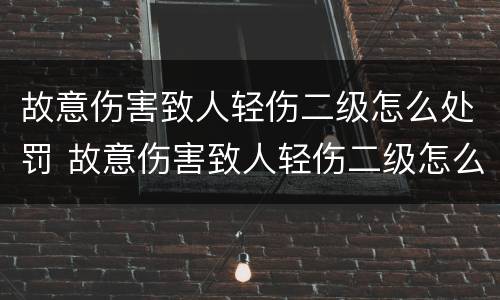 故意伤害致人轻伤二级怎么处罚 故意伤害致人轻伤二级怎么处罚的