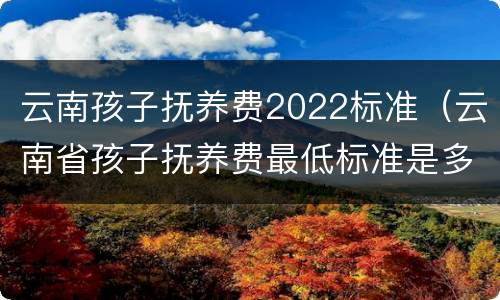 云南孩子抚养费2022标准（云南省孩子抚养费最低标准是多少）