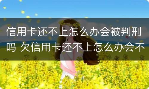 信用卡还不上怎么办会被判刑吗 欠信用卡还不上怎么办会不会坐牢