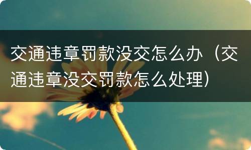 交通违章罚款没交怎么办（交通违章没交罚款怎么处理）