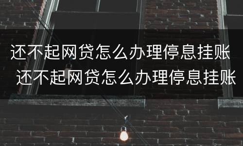 还不起网贷怎么办理停息挂账 还不起网贷怎么办理停息挂账业务