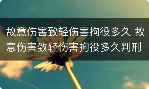故意伤害致轻伤害拘役多久 故意伤害致轻伤害拘役多久判刑
