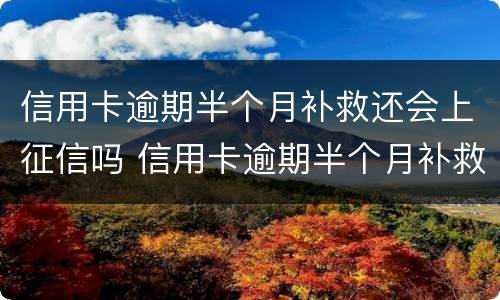 信用卡逾期半个月补救还会上征信吗 信用卡逾期半个月补救还会上征信吗