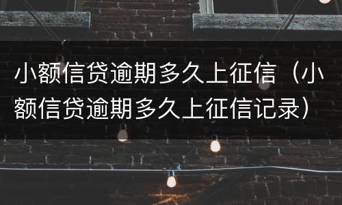 小额信贷逾期多久上征信（小额信贷逾期多久上征信记录）
