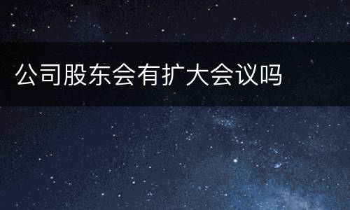 公司股东会有扩大会议吗