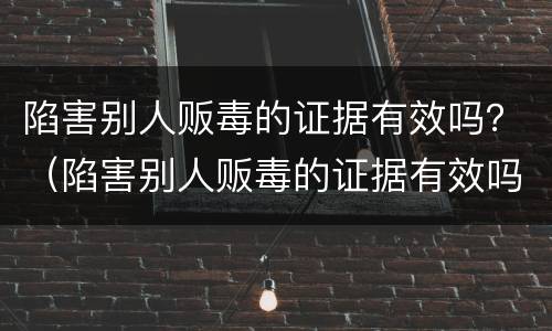 陷害别人贩毒的证据有效吗？（陷害别人贩毒的证据有效吗知乎）