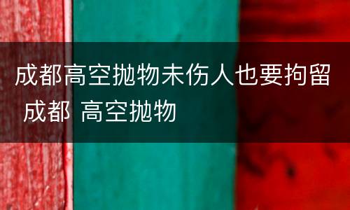 成都高空抛物未伤人也要拘留 成都 高空抛物