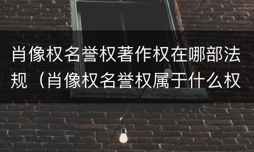 肖像权名誉权著作权在哪部法规（肖像权名誉权属于什么权）