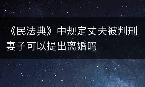 《民法典》中规定丈夫被判刑妻子可以提出离婚吗
