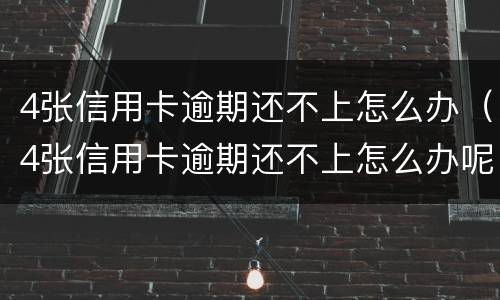 4张信用卡逾期还不上怎么办（4张信用卡逾期还不上怎么办呢）