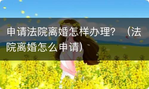 申请法院离婚怎样办理？（法院离婚怎么申请）