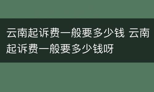 云南起诉费一般要多少钱 云南起诉费一般要多少钱呀