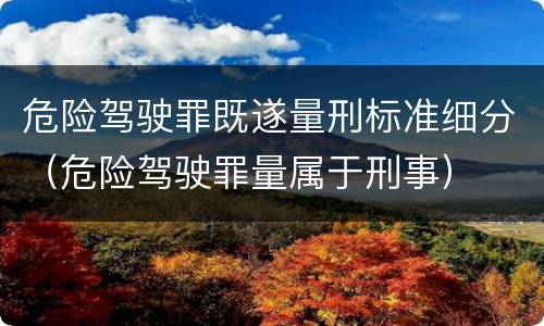 危险驾驶罪既遂量刑标准细分（危险驾驶罪量属于刑事）