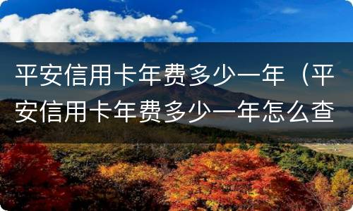 平安信用卡年费多少一年（平安信用卡年费多少一年怎么查）