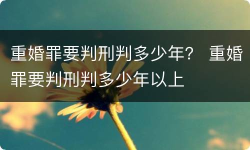 重婚罪要判刑判多少年？ 重婚罪要判刑判多少年以上