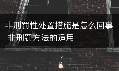 非刑罚性处置措施是怎么回事 非刑罚方法的适用