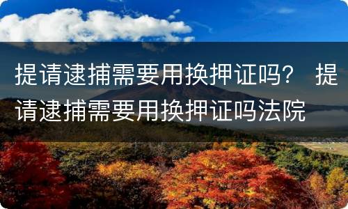 提请逮捕需要用换押证吗？ 提请逮捕需要用换押证吗法院