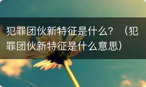 犯罪团伙新特征是什么？（犯罪团伙新特征是什么意思）