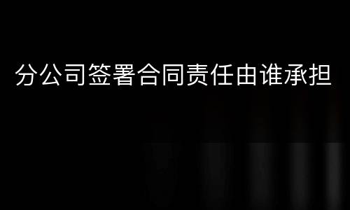 分公司签署合同责任由谁承担