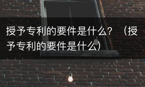授予专利的要件是什么？（授予专利的要件是什么）