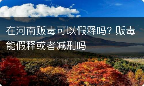 在河南贩毒可以假释吗? 贩毒能假释或者减刑吗