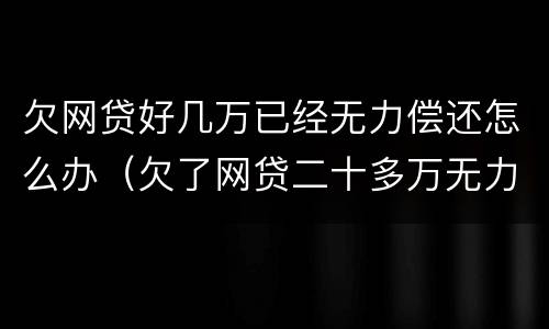 欠网贷好几万已经无力偿还怎么办（欠了网贷二十多万无力偿还怎么解决）
