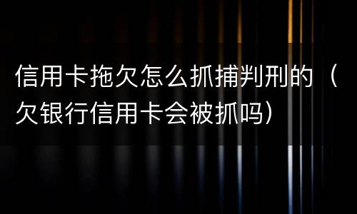 信用卡拖欠怎么抓捕判刑的（欠银行信用卡会被抓吗）