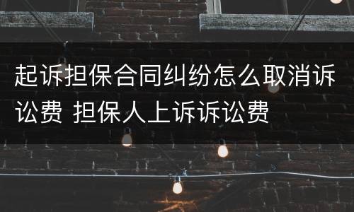 起诉担保合同纠纷怎么取消诉讼费 担保人上诉诉讼费