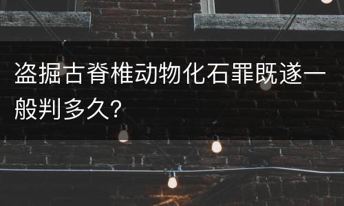 盗掘古脊椎动物化石罪既遂一般判多久？