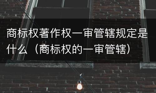 商标权著作权一审管辖规定是什么（商标权的一审管辖）