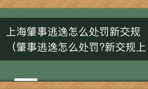 上海肇事逃逸怎么处罚新交规（肇事逃逸怎么处罚?新交规上线）