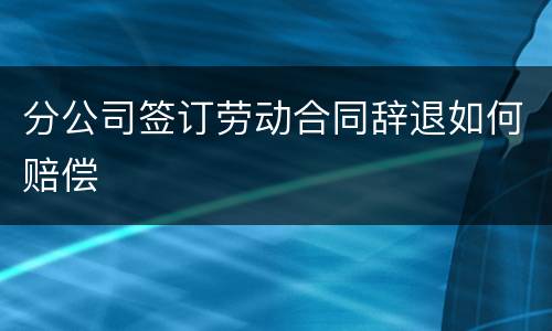 分公司签订劳动合同辞退如何赔偿
