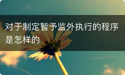 对于制定暂予监外执行的程序是怎样的