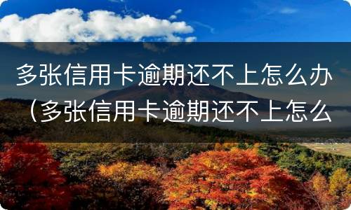 多张信用卡逾期还不上怎么办（多张信用卡逾期还不上怎么办呢）