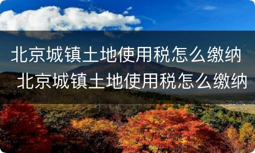 北京城镇土地使用税怎么缴纳 北京城镇土地使用税怎么缴纳流程
