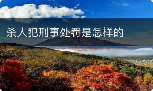 杀人犯刑事处罚是怎样的
