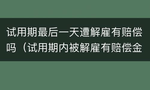 试用期最后一天遭解雇有赔偿吗（试用期内被解雇有赔偿金吗）