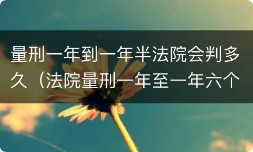 量刑一年到一年半法院会判多久（法院量刑一年至一年六个月会判多久）