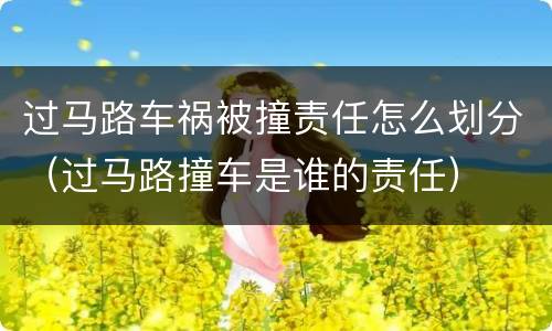 过马路车祸被撞责任怎么划分（过马路撞车是谁的责任）