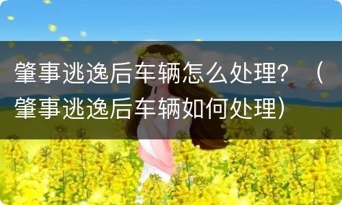 肇事逃逸后车辆怎么处理？（肇事逃逸后车辆如何处理）