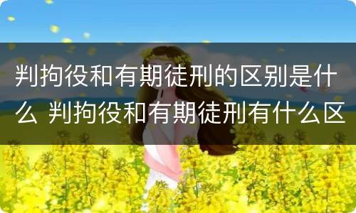 判拘役和有期徒刑的区别是什么 判拘役和有期徒刑有什么区别
