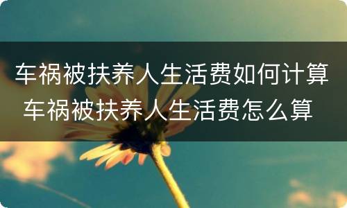 车祸被扶养人生活费如何计算 车祸被扶养人生活费怎么算